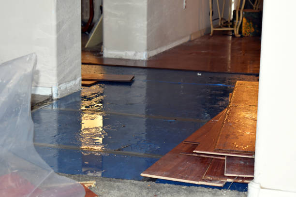Professional Sewage Cleanup technician working in Arlington, MN